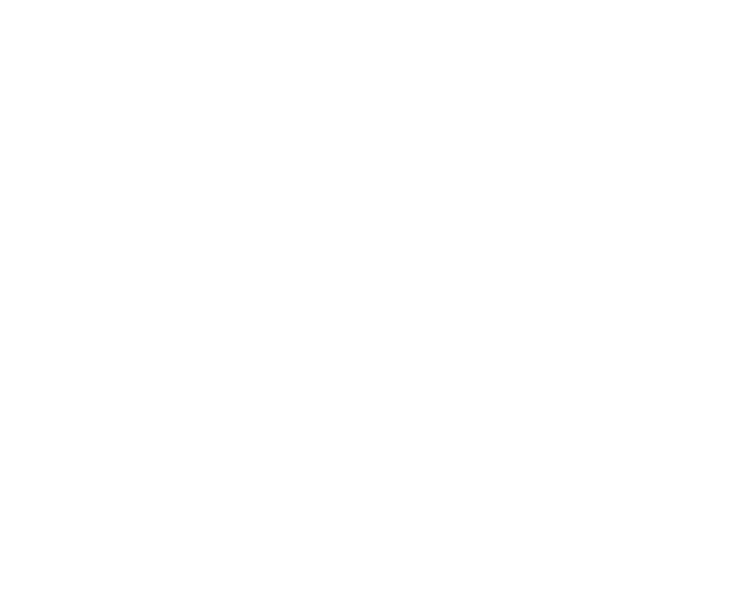 HACE Group